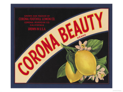 Corona by Elizabeth Garrett Pricing Limited Edition Print image