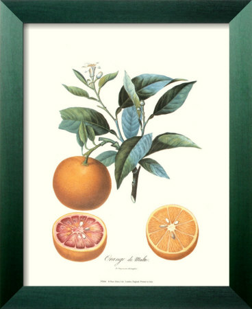 Tangerine by Pierre-Antoine Poiteau Pricing Limited Edition Print image