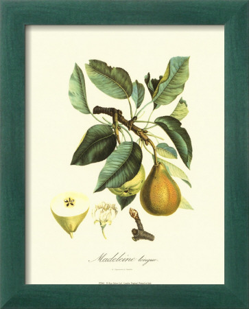 Bartlett Pear by Pierre-Antoine Poiteau Pricing Limited Edition Print image