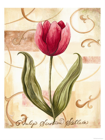 Copper Tulip by Sophia Davidson Pricing Limited Edition Print image