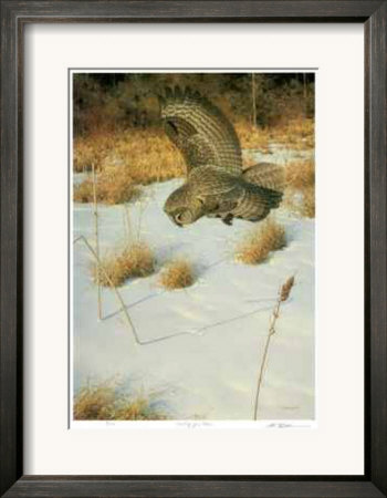 Hunting For Voles by Claudio D'angelo Pricing Limited Edition Print image