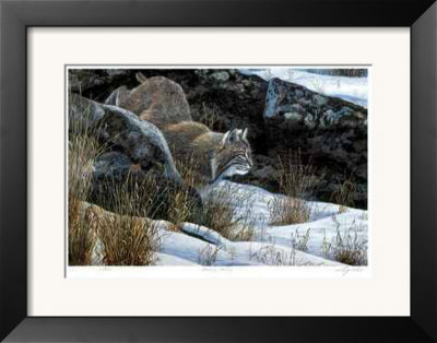 Watching And Waiting by Cyril Cox Pricing Limited Edition Print image