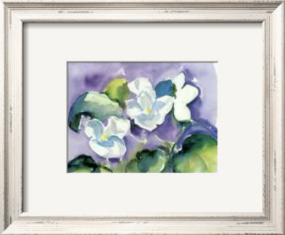 White Violet by Lynn Donoghue Pricing Limited Edition Print image