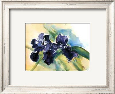 Dark Wax Iris by Lynn Donoghue Pricing Limited Edition Print image