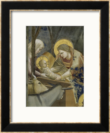 The, Detail Nativity by Giotto Di Bondone Pricing Limited Edition Print image