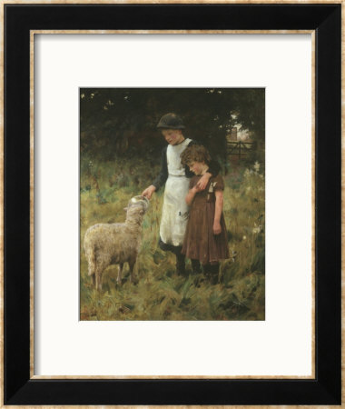 Feeding The Sheep by George S. Knowles Pricing Limited Edition Print image