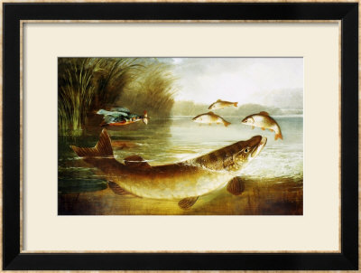 A Kingfisher And A Pike Capturing Perch by Henry Leonides Rolfe Pricing Limited Edition Print image
