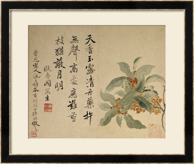 Cassia by Yun Shouping Pricing Limited Edition Print image
