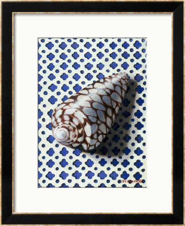 Shell (Coquillage) by Isy Ochoa Pricing Limited Edition Print image