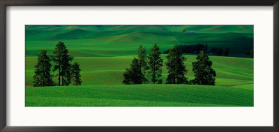 Fields In Spring, Palouse Country, Eastern Wa by Christopher Jacobson Pricing Limited Edition Print image