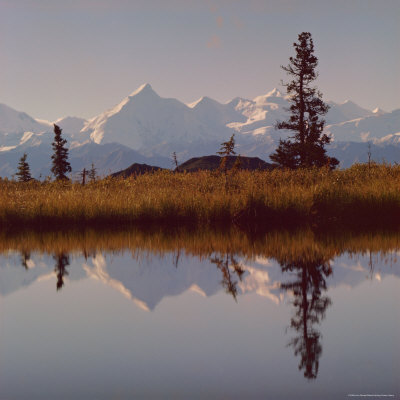 Mount Brooks, Mckinley Park, Alaska, Usa by Jon Hart Gardey Pricing Limited Edition Print image