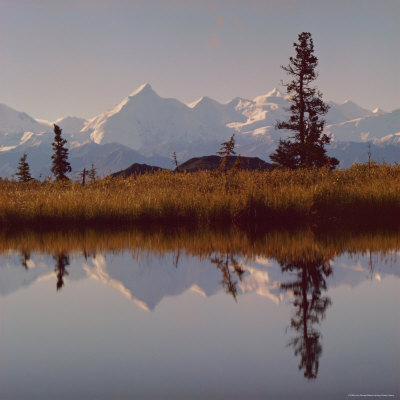 Mount Brooks, Mckinley Park, Alaska, Usa by Jon Hart Gardey Pricing Limited Edition Print image