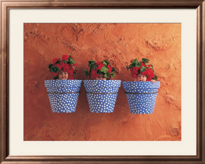 Mediterranean Pots by Anne Geddes Pricing Limited Edition Print image