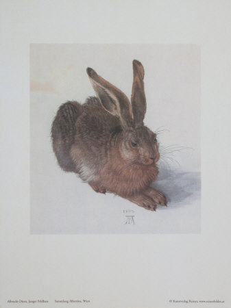 Junger Feldhase by Albrecht Dürer Pricing Limited Edition Print image