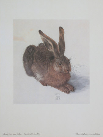 Junger Feldhase by Albrecht Durer Pricing Limited Edition Print image