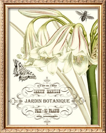 Jardin Botanique I by Vision Studio Pricing Limited Edition Print image
