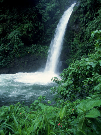 La Paz Waterfall Near Poas Volcano, Costa Rica by John Anderson Pricing Limited Edition Print image