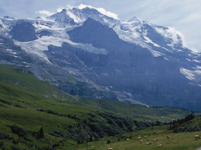 View Of Jungfraujoch, Switzerland by Robert Burrington Pricing Limited Edition Print image
