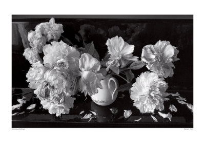 Peonies, C.1998 by Dominique Bollinger Pricing Limited Edition Print image