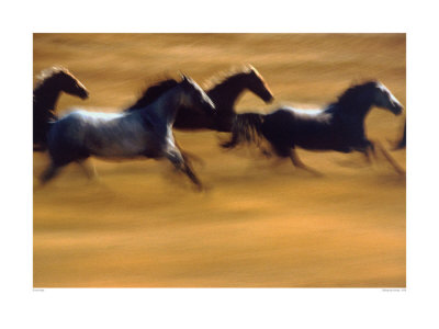 Galloping Horses by Ernst Haas Pricing Limited Edition Print image
