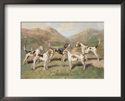 Fell Foxhounds by Thomas Ivester Llyod Pricing Limited Edition Print image
