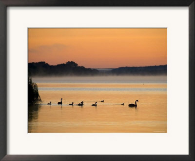 Murray River At Dawn, Mannum, South Australia, Australia by David Wall Pricing Limited Edition Print image