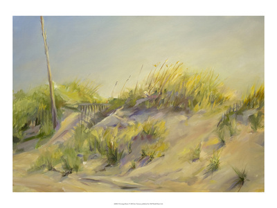 Evening Dunes by Joe Terrone Pricing Limited Edition Print image