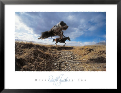 Harry The Cow Dog by David R. Stoecklein Pricing Limited Edition Print image