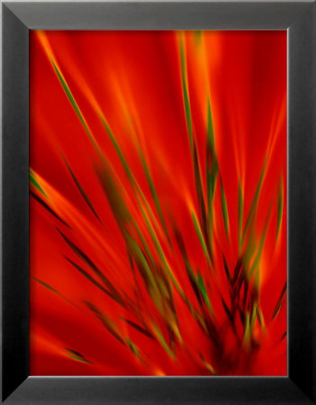 Flexi Grass, Bright Green On Red by Michael Banks Pricing Limited Edition Print image