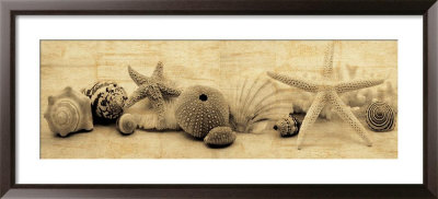 Treasures I by John Seba Pricing Limited Edition Print image