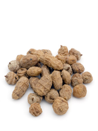 Tiger Nuts by Geoff Kidd Pricing Limited Edition Print image