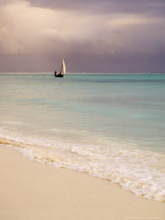 Dhow At Sea As Seen From The Shore, Zanzibar by Ariadne Van Zandbergen Pricing Limited Edition Print image