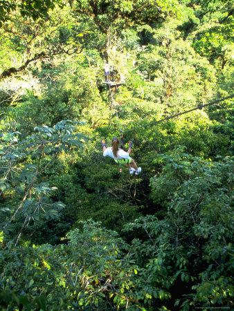 Jungle Canopy Tour, Costa Rica by Eric Sanford Pricing Limited Edition Print image