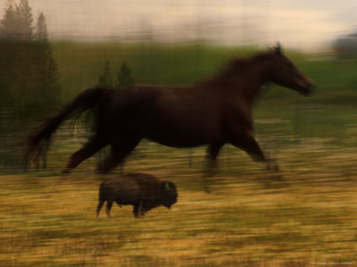 Out On The Plain by Fogstock Llc Pricing Limited Edition Print image