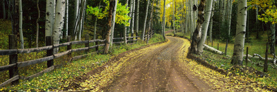 Rural Dirt Road, Pinon Mesa, Colorado by Robert Kurtzman Pricing Limited Edition Print image