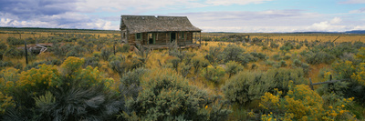 Old Cabin, Glade Park, Colorado, Usa by Robert Kurtzman Pricing Limited Edition Print image