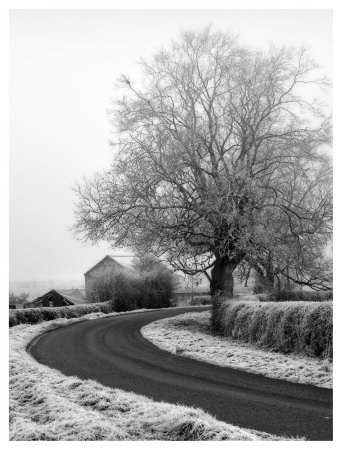 Misty Country Road by Stephen Rutherford-Bate Pricing Limited Edition Print image