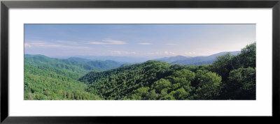 Newfound Gap Road, Great Smoky Mountains National Park, Tennessee, Usa by Panoramic Images Pricing Limited Edition Print image
