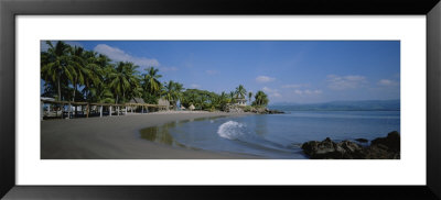 Palm Trees On The Beach, San Blas, Mexico by Panoramic Images Pricing Limited Edition Print image