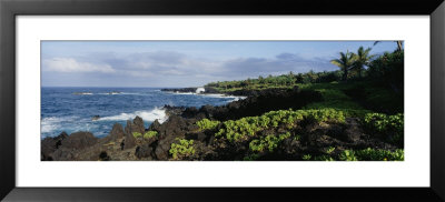 Plants On A Rocky Landscape, Waianapanapa State Park, Hana, Maui, Hawaii, Usa by Panoramic Images Pricing Limited Edition Print image