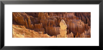 Rocks, Bryce Canyon National Park, Utah, Usa by Panoramic Images Pricing Limited Edition Print image