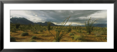 Storm Clouds Over A Landscape, California, Usa by Panoramic Images Pricing Limited Edition Print image