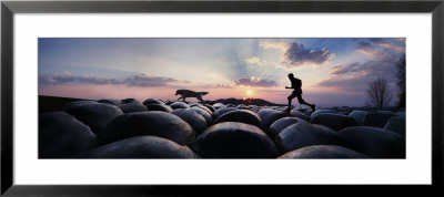 Person Running Behind A Dog by Panoramic Images Pricing Limited Edition Print image