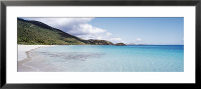 Beach At Cinnamon Bay, St. John, Us Virgin Islands by Panoramic Images Pricing Limited Edition Print image