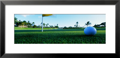 Close Up Golf Ball And Hole, Hawaii, Usa by Panoramic Images Pricing Limited Edition Print image