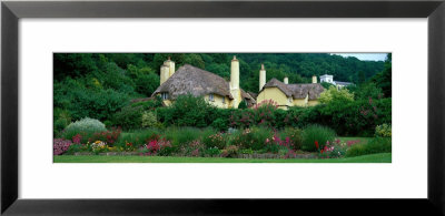 Selworthy, Exmoor, England, United Kingdom by Panoramic Images Pricing Limited Edition Print image