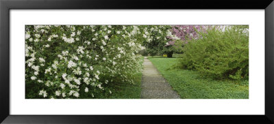 Path In A Park, Richmond, Virginia, Usa by Panoramic Images Pricing Limited Edition Print image