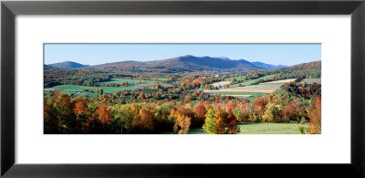 Fall Trees, Danby, Vermont, Usa by Panoramic Images Pricing Limited Edition Print image