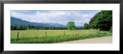 Road Along A Grass Field, Cades Cove, Great Smoky Mountains National Park, Tennessee, Usa by Panoramic Images Pricing Limited Edition Print image