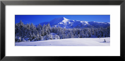 Mountains, Mountainview, Snow, Turnagain Pass, Chugach Mountains, Kenai Peninsula Alaska Usa by Panoramic Images Pricing Limited Edition Print image